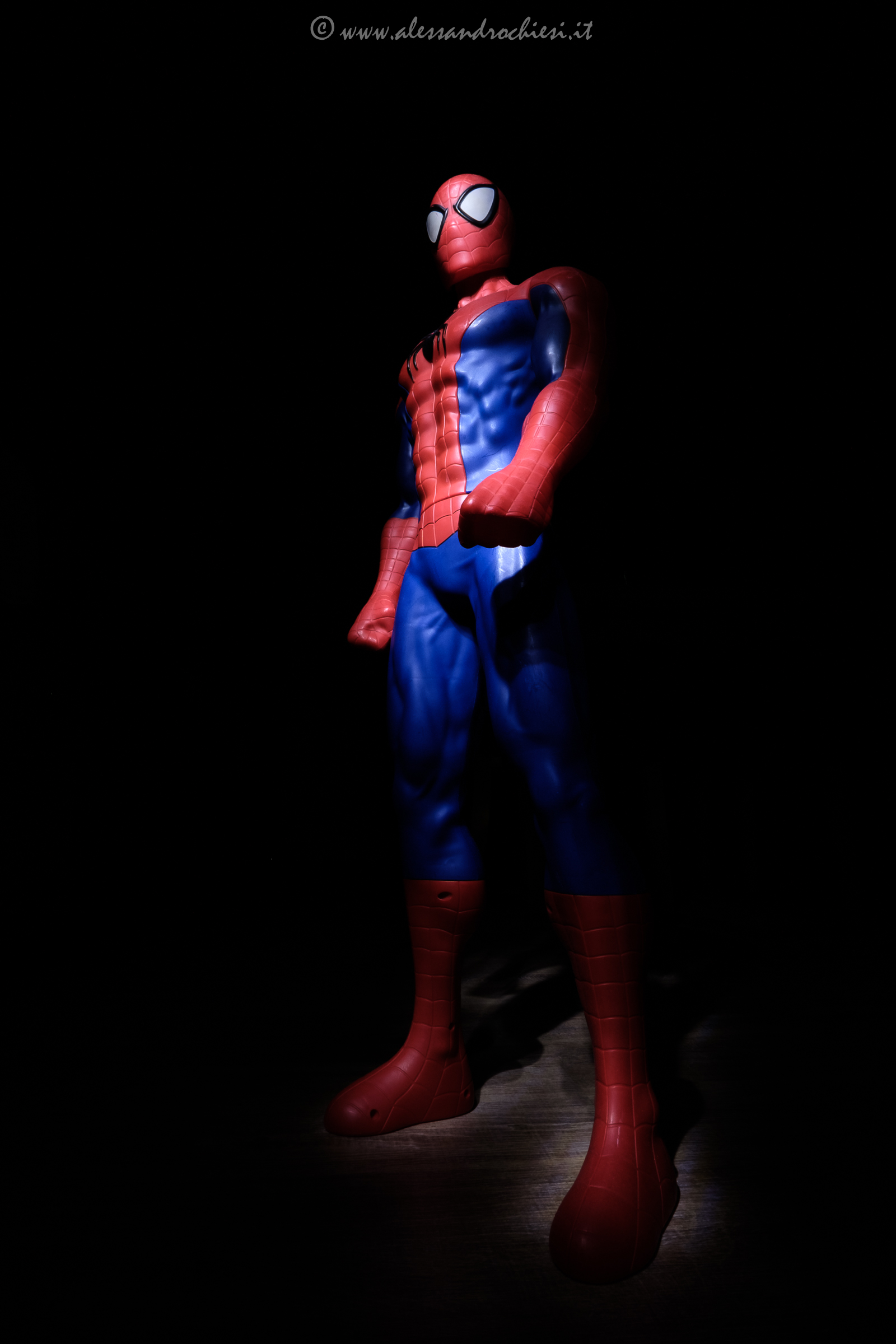 Spidy Home Coming