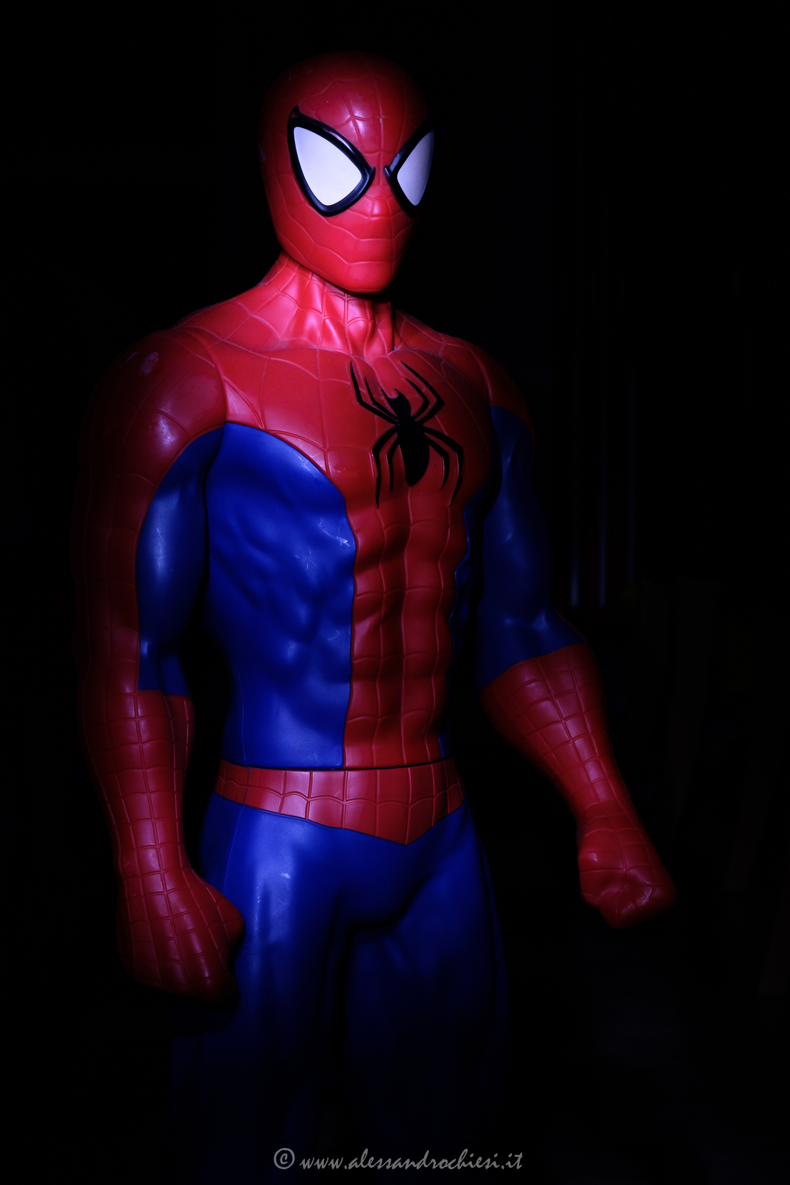 Spidy Home Coming