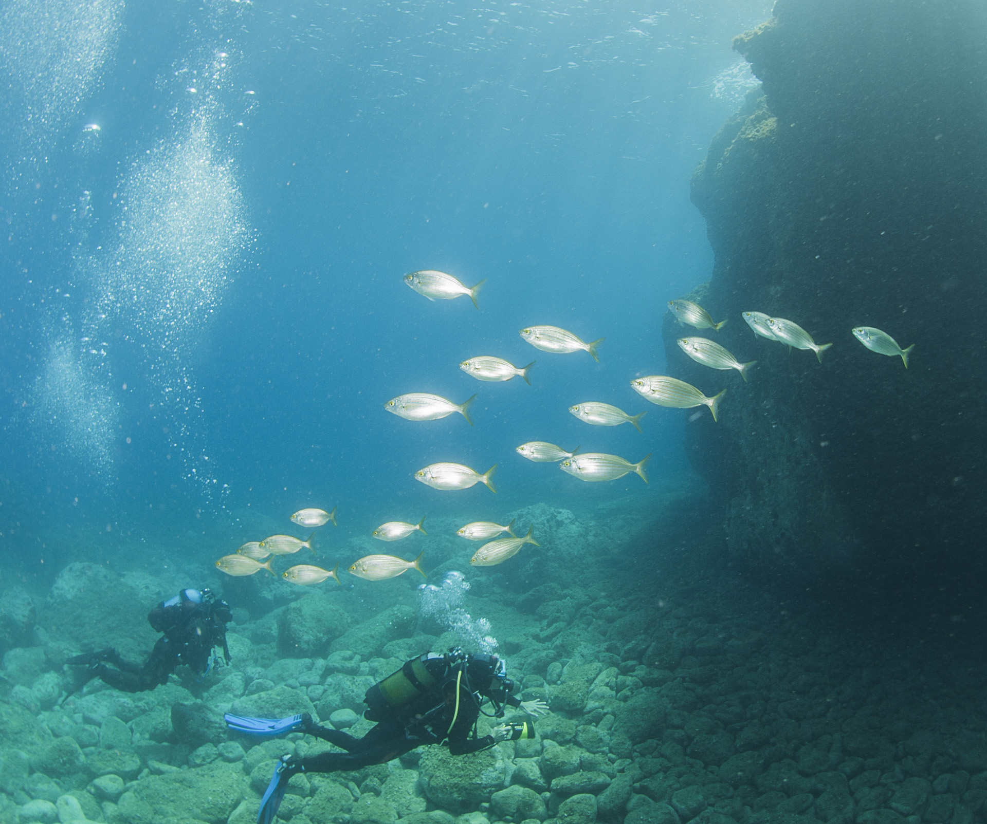 immersione alle Isole Tremiti