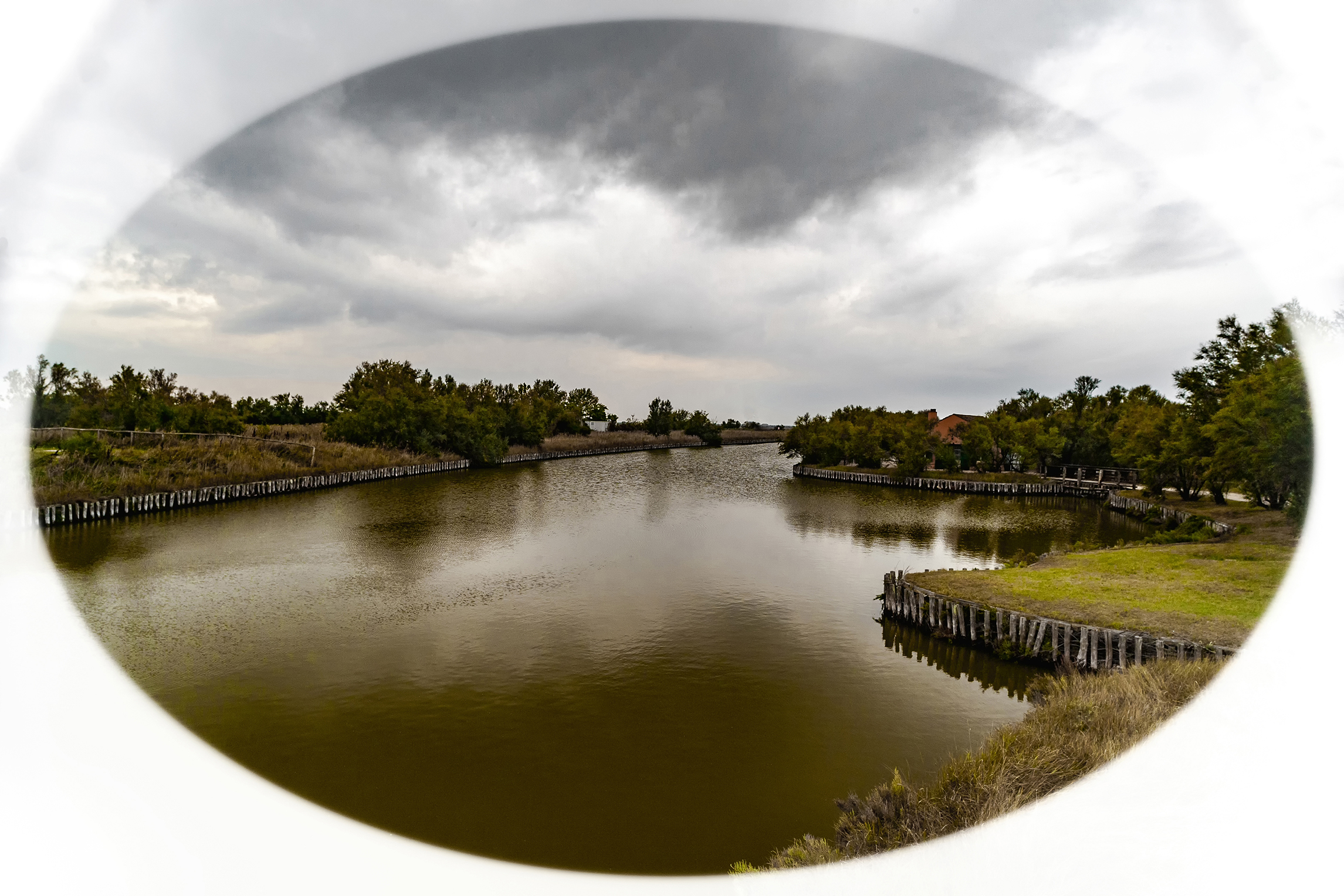 Valli di Comacchio 1