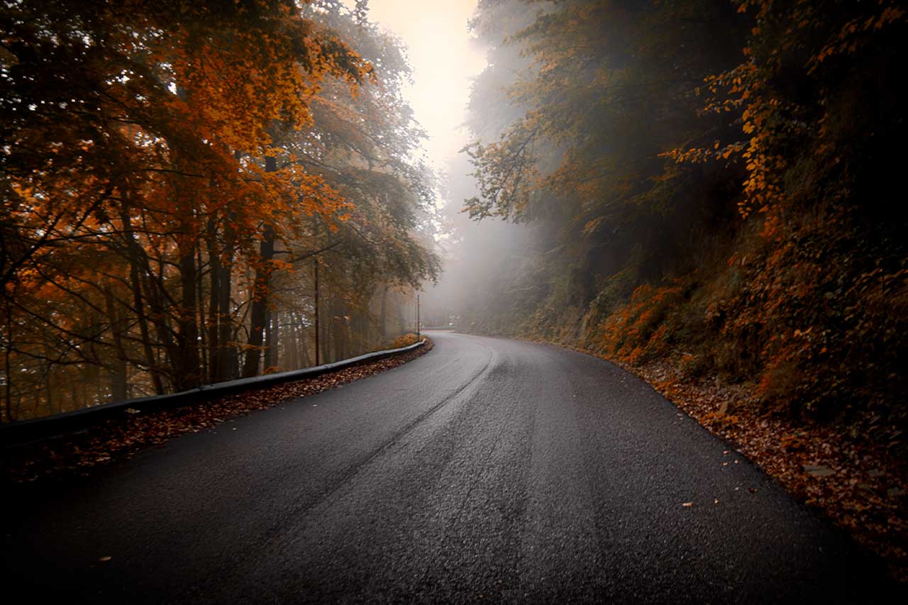 Fog towards the Martese forest