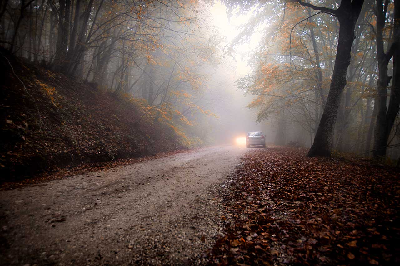 Fog towards the Martese forest