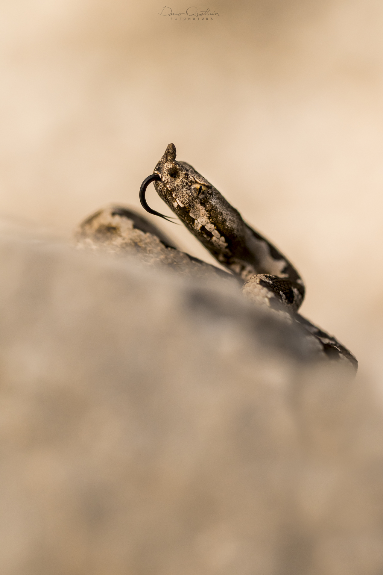 L'autunno in ritardo