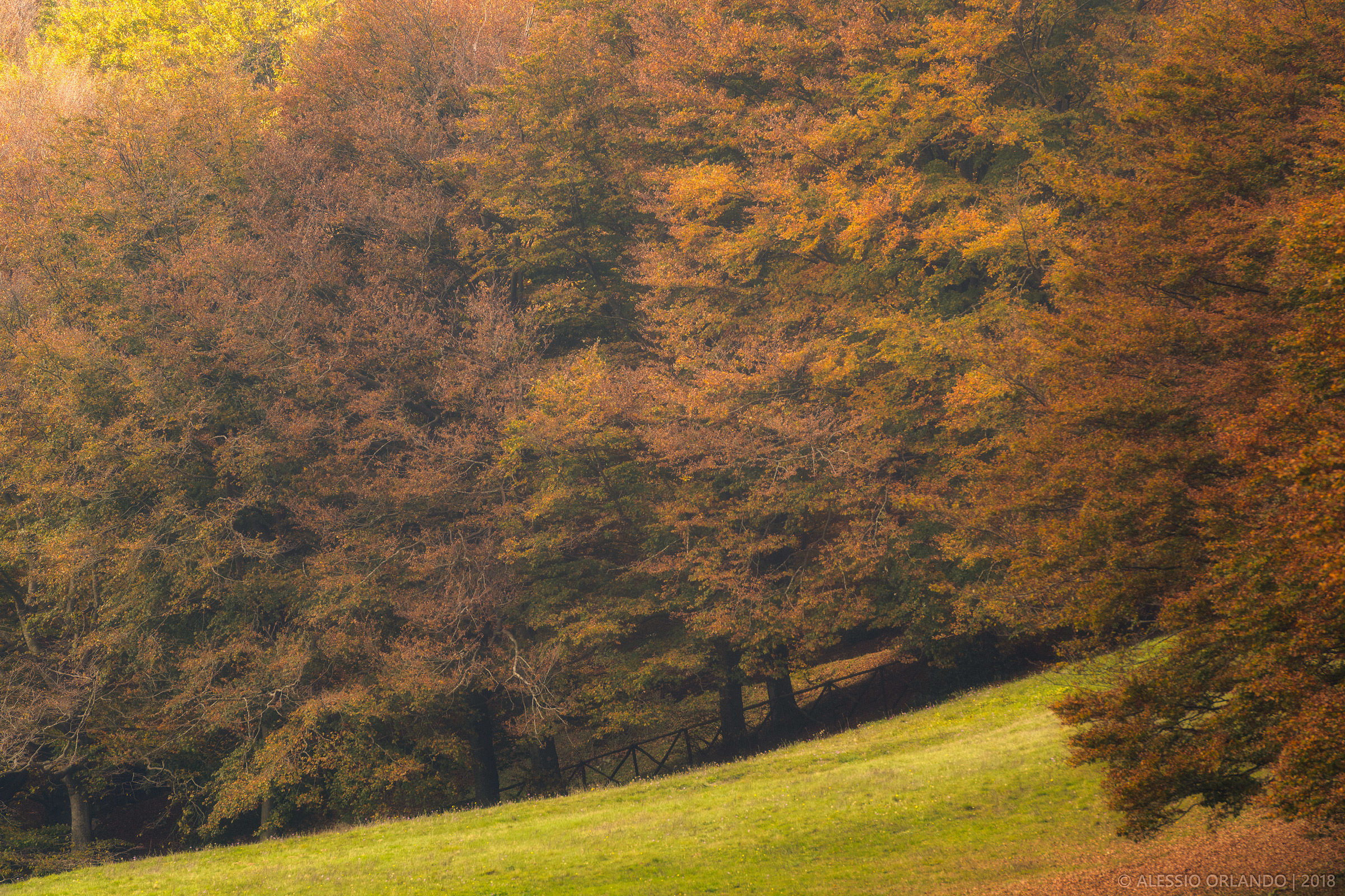 Autumn We miss you...