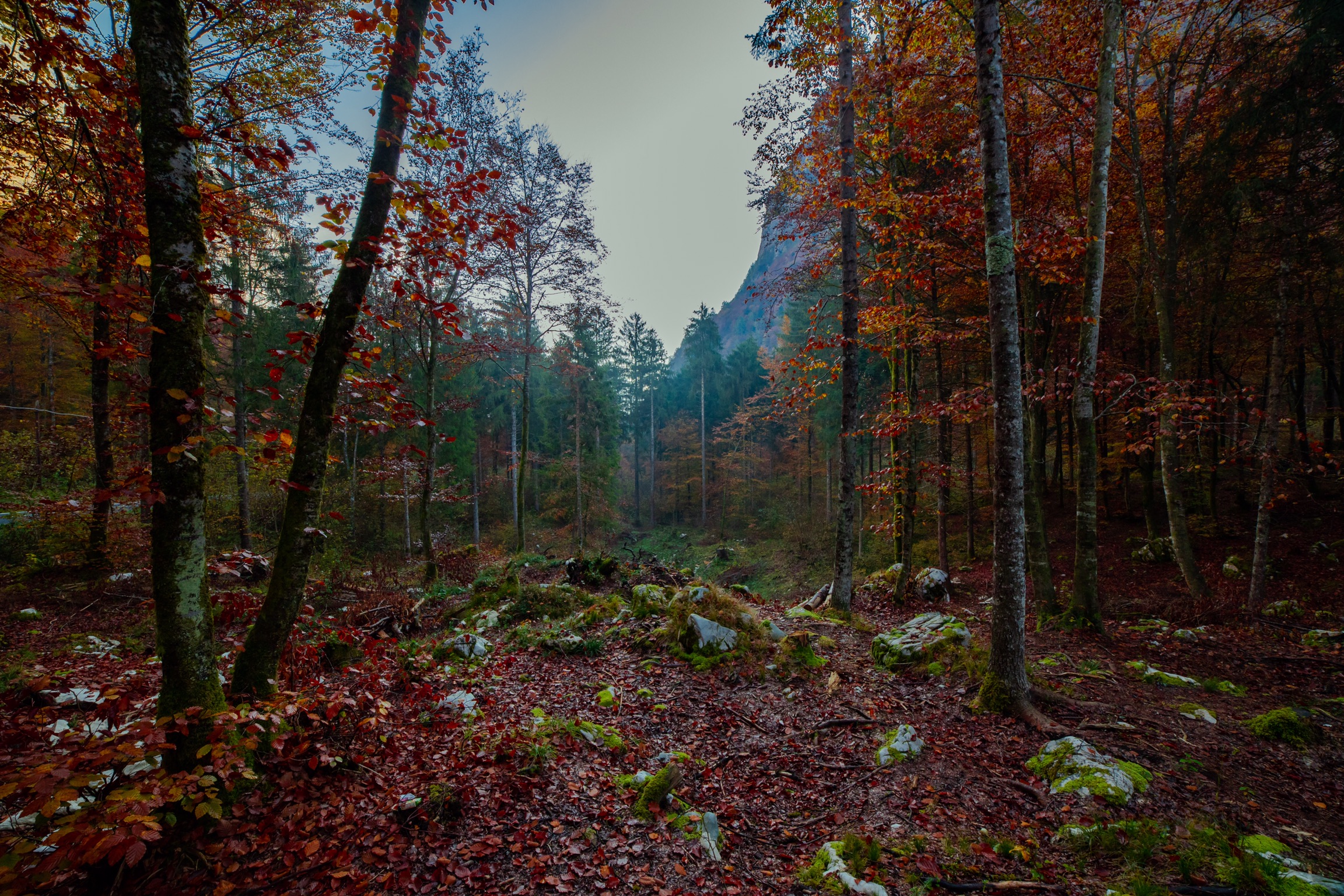 I colori dell'autunno