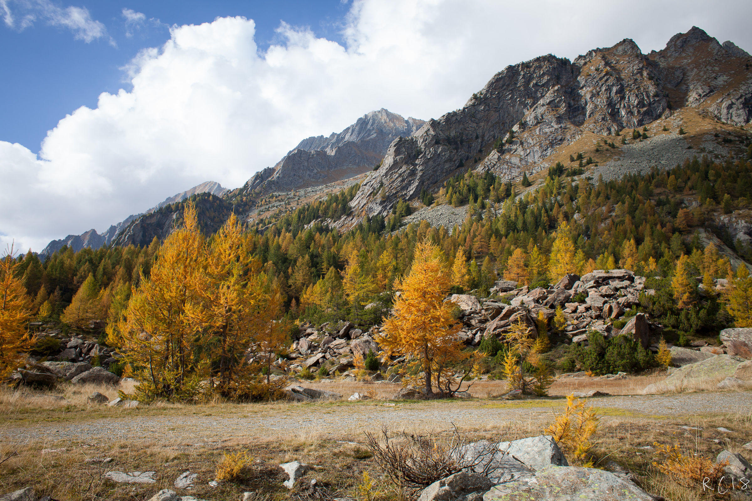 Red Prey (Valmasino-Sondrio)