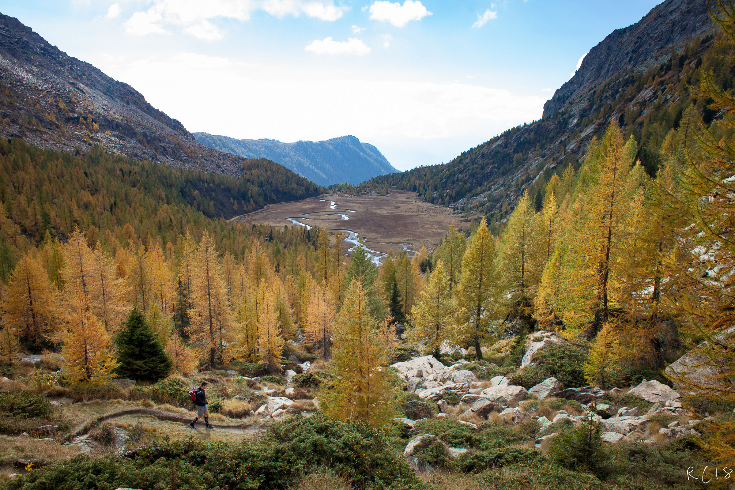 Red Prey (Valmasino-Sondrio)