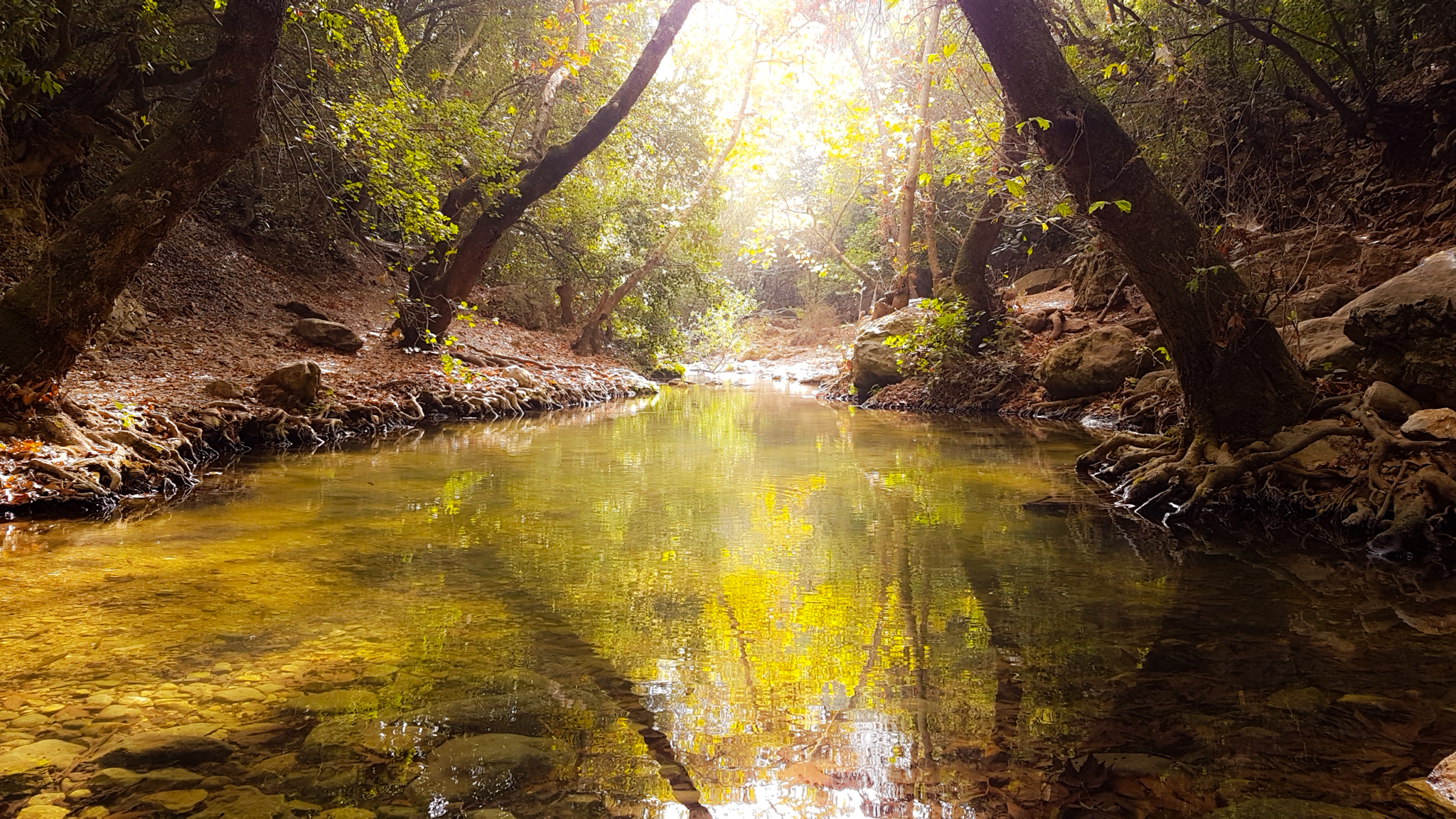 Flusso fluente, l'Israele