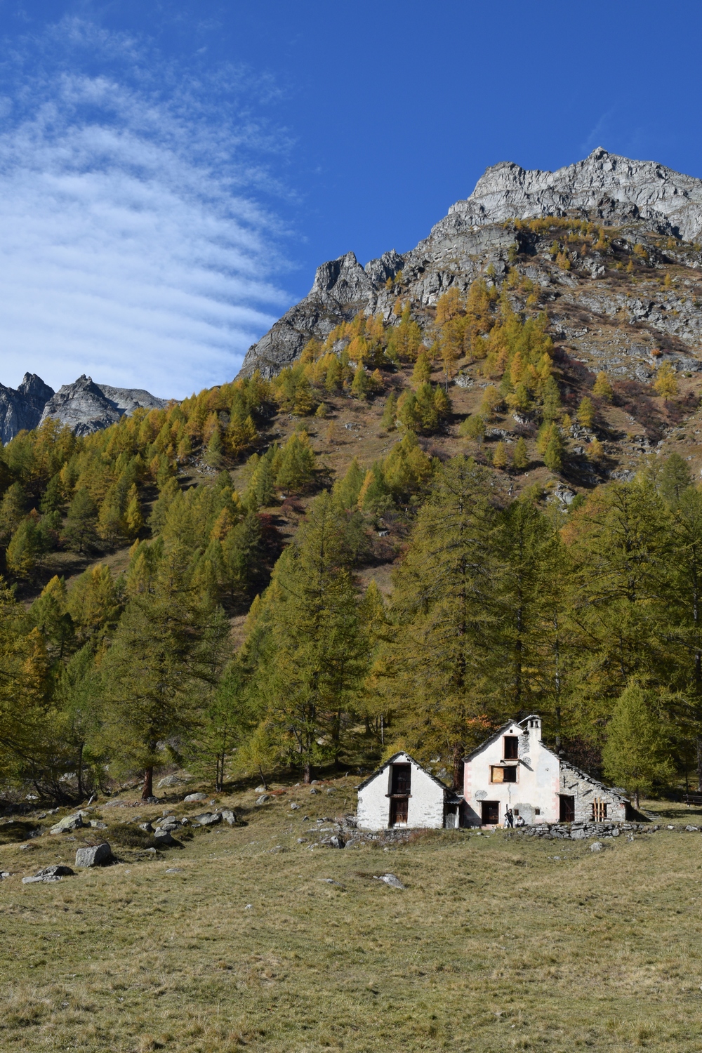 case abbandonate d'autunno