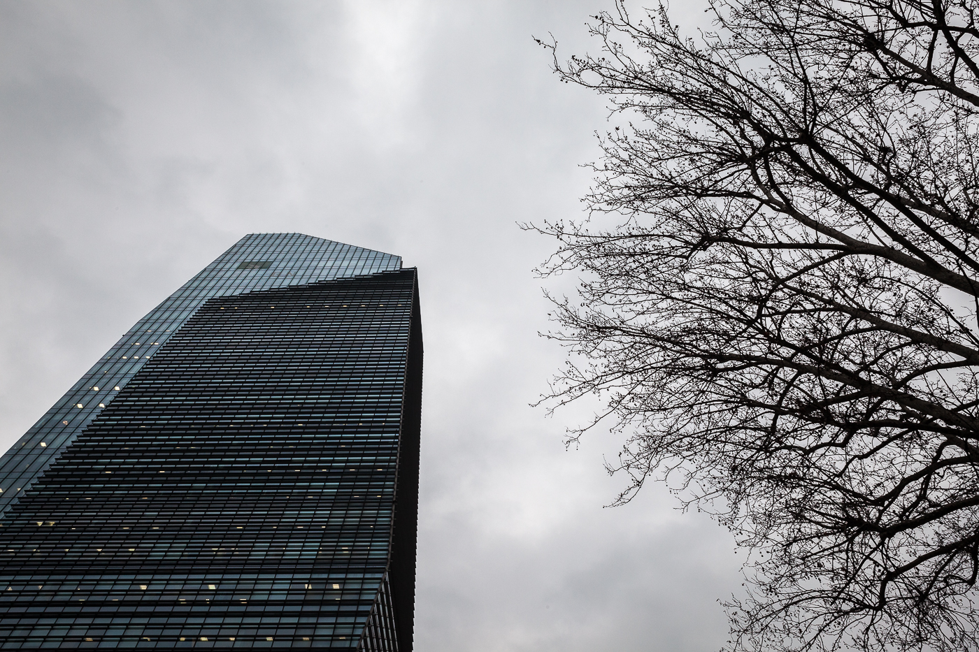 The man and the environment