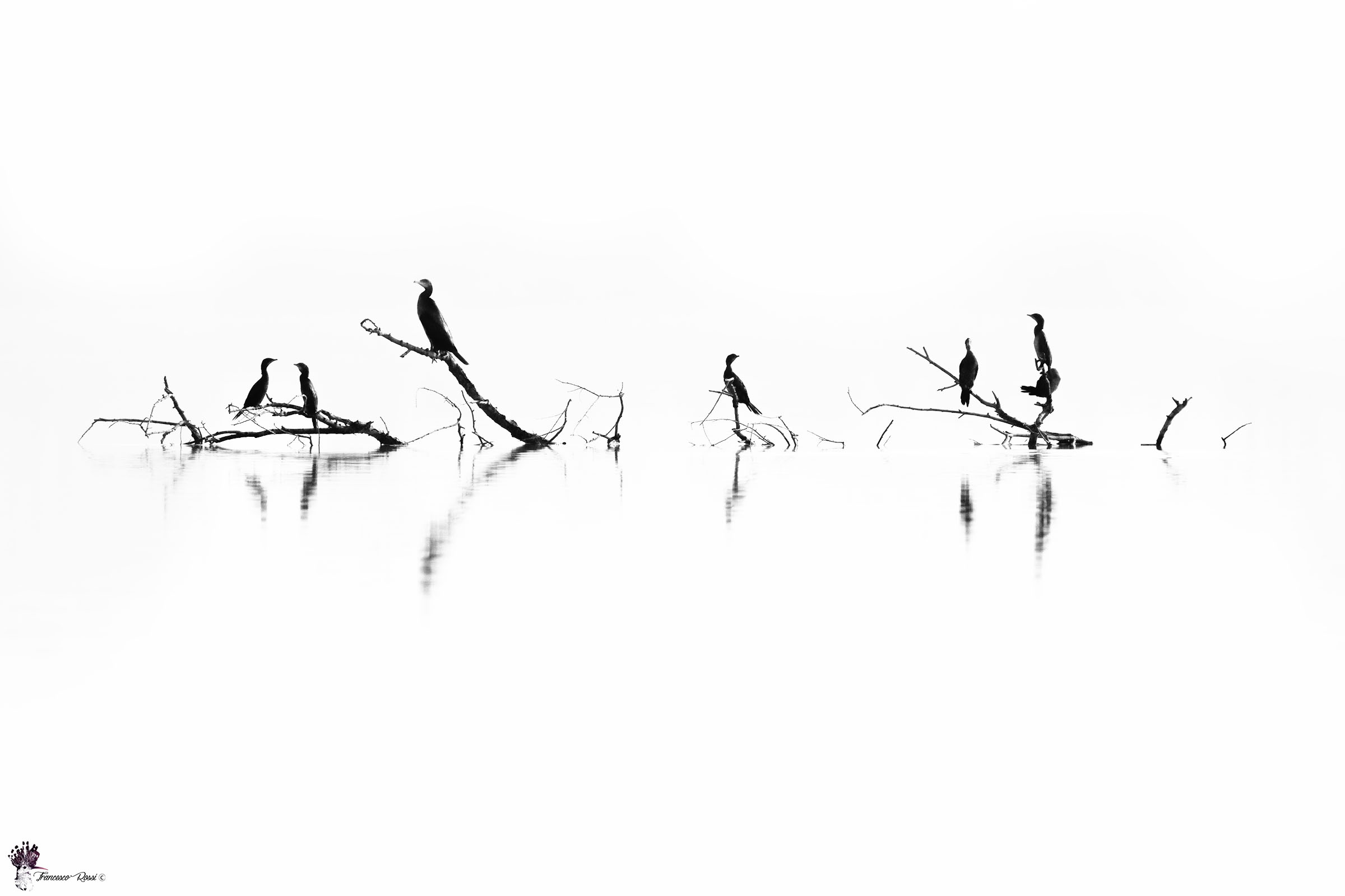 Delta del Po "High key"