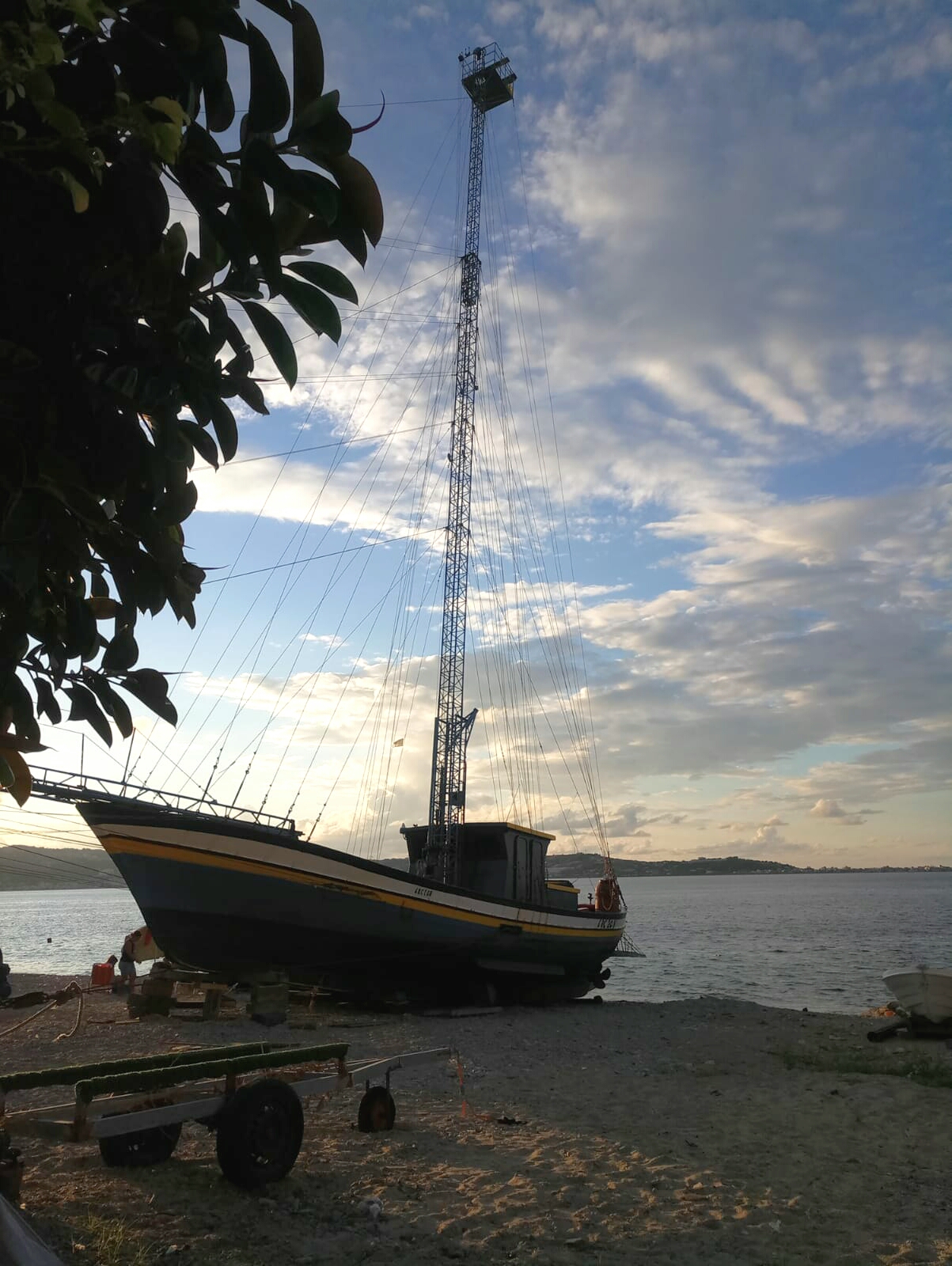 Swordfish Hunting Boat