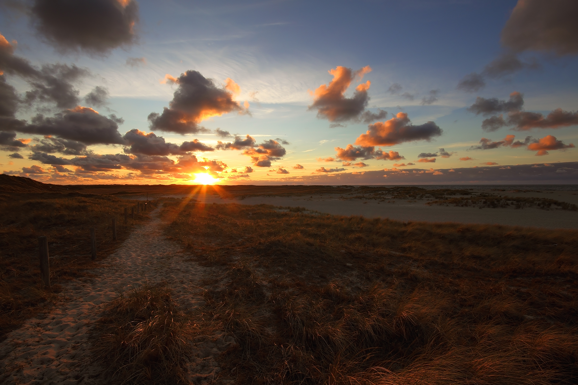 Ellenbogen last act...