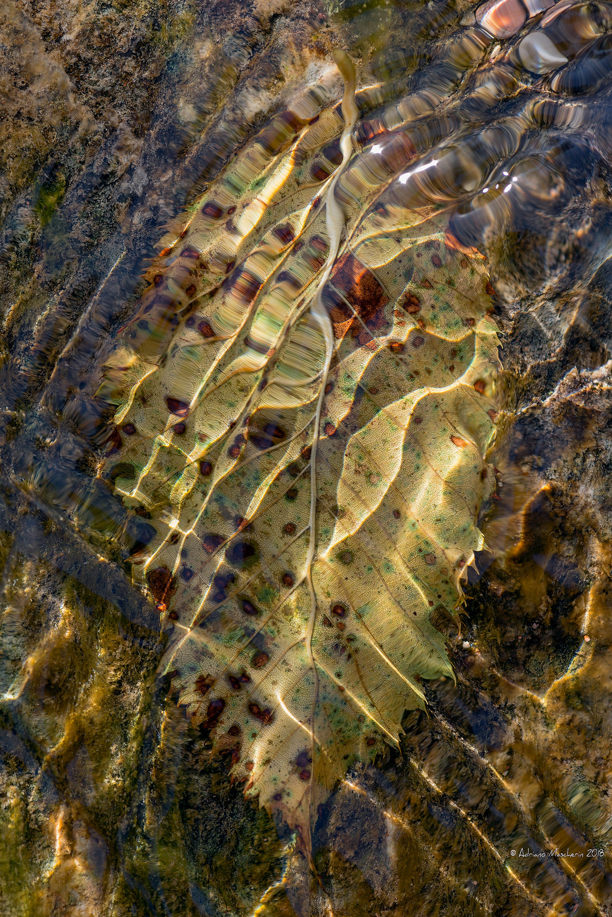 Water and Light games