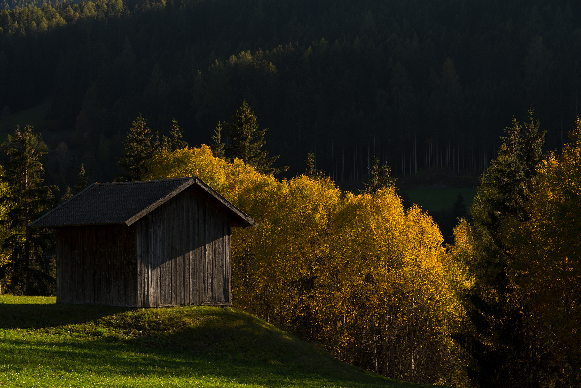 Fiat Lux-Near Monguelfo (Val Pusteria)