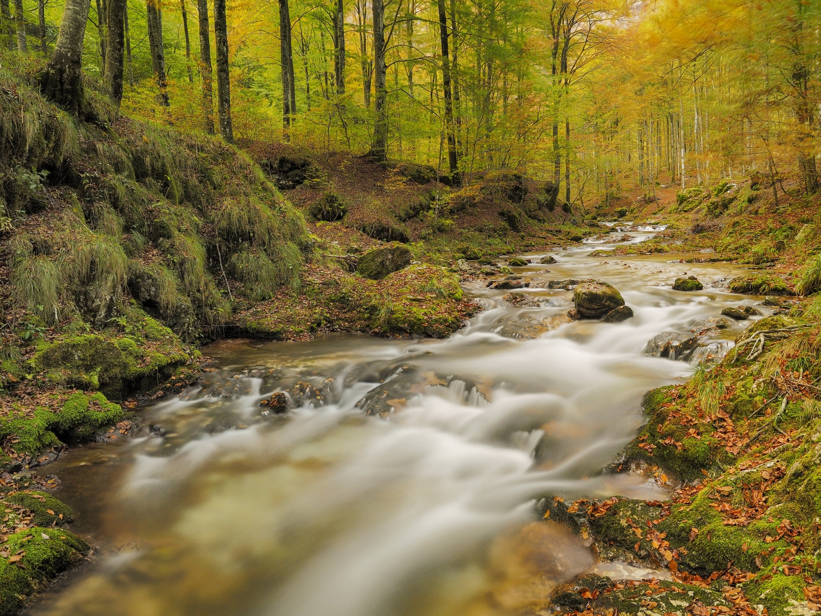 autunno in Val d'Arzino