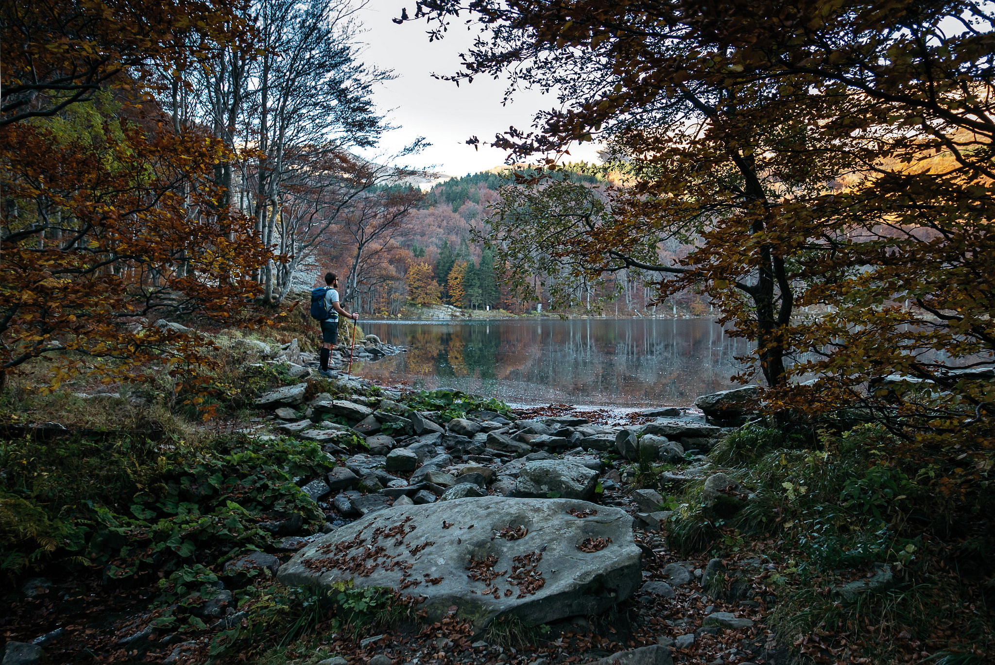 On the shores of the lake