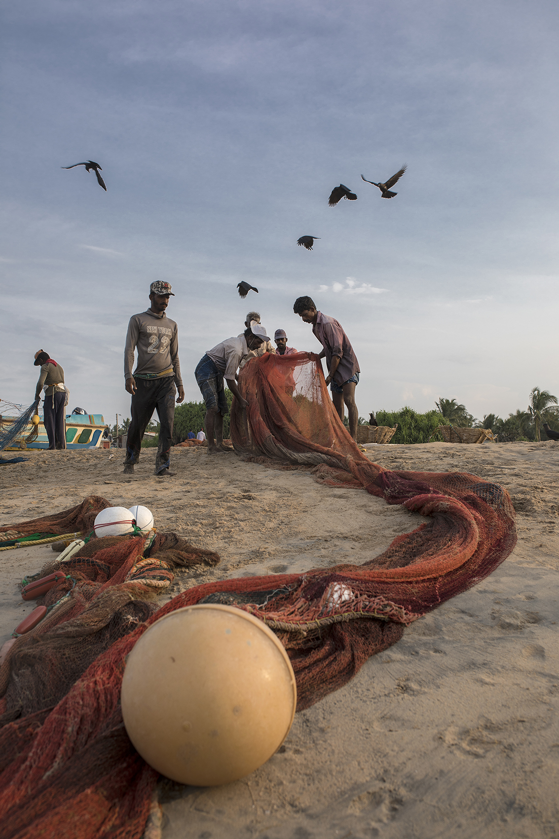 pescatori e corvi a Nilaveli beach