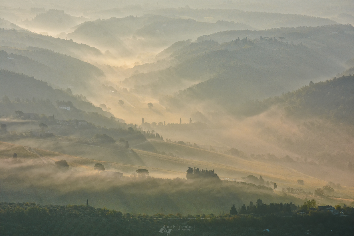 Golden Misty Chianti
