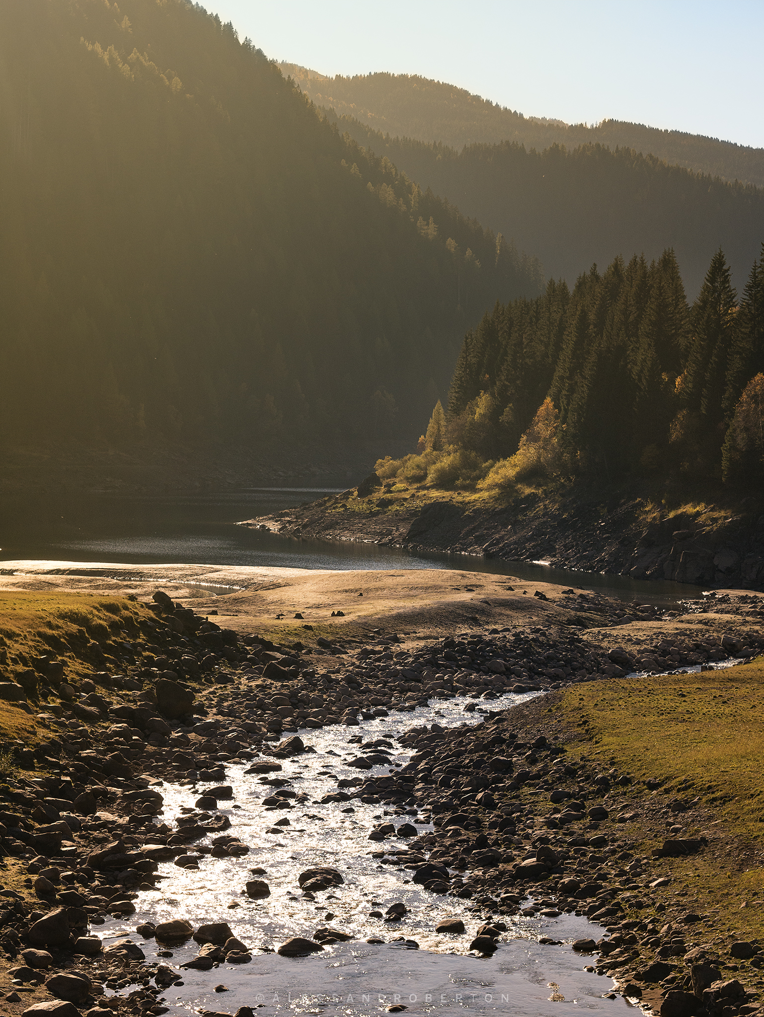 Lago nel Parco di Paneveggio