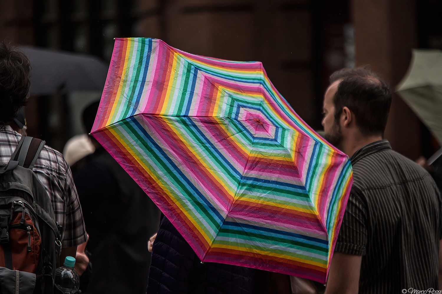 Vienna sotto la pioggia