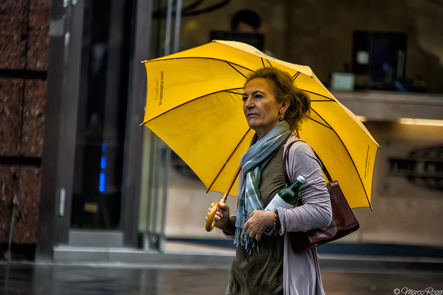 Vienna sotto la pioggia