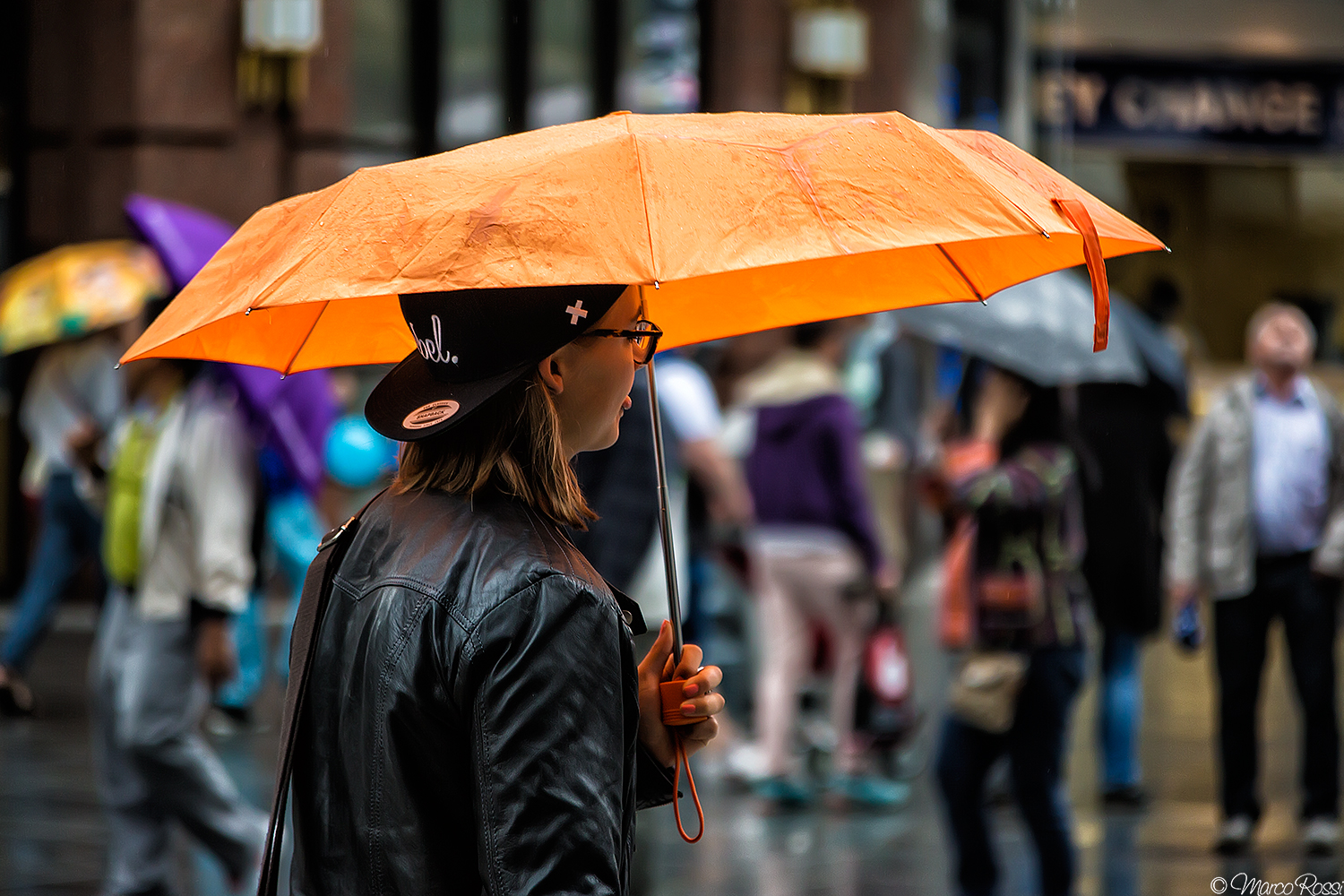 Vienna sotto la pioggia