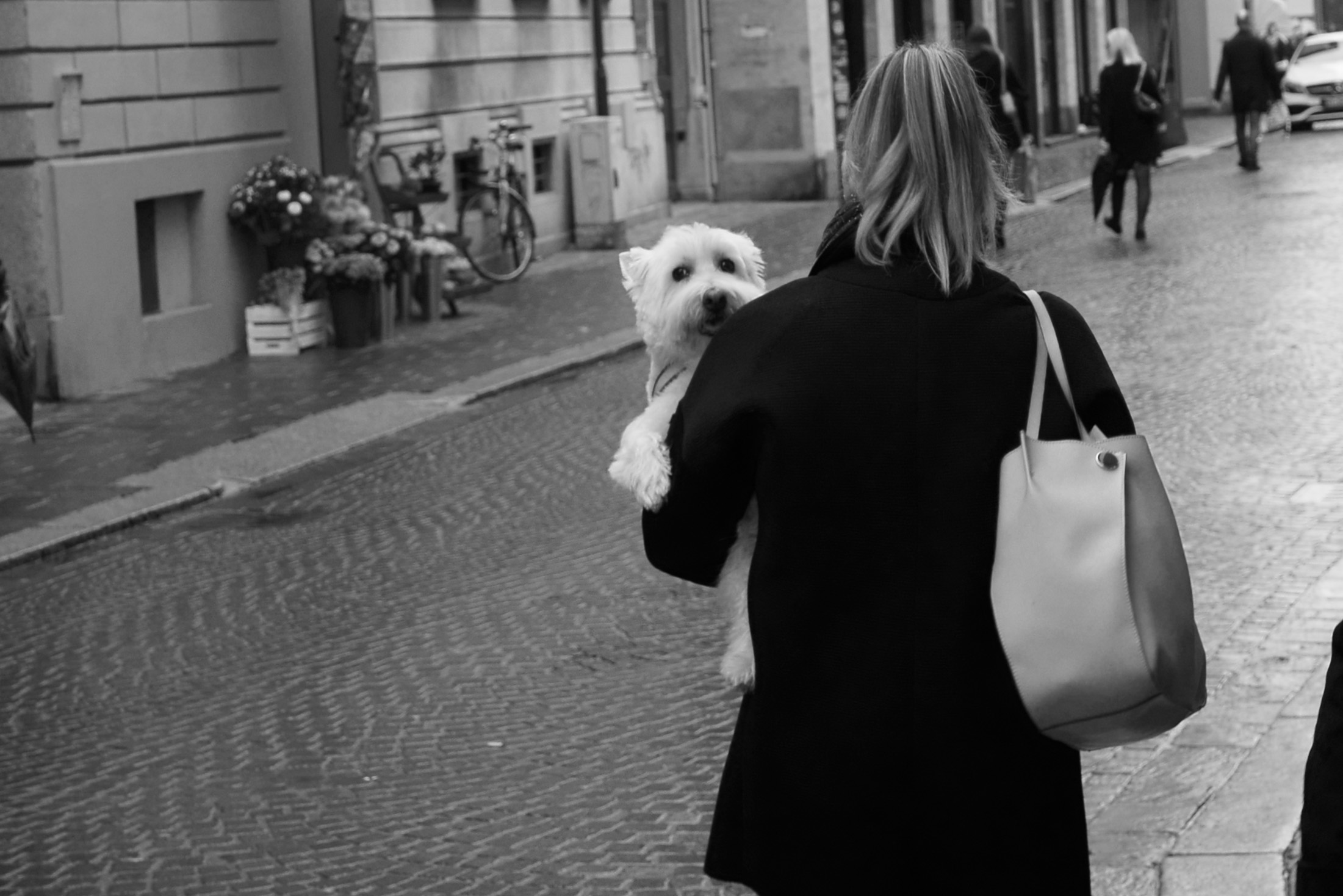 Mezzo di trasporto urbano, urban commuter