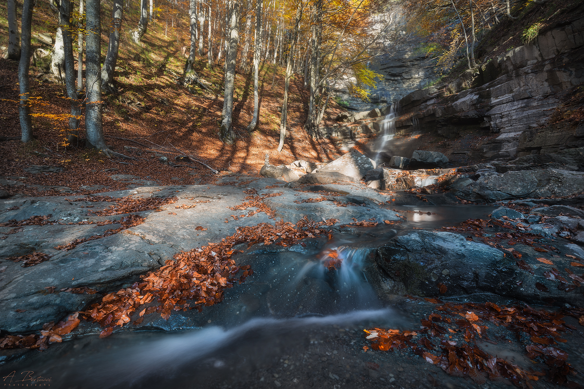 Foliage at the Lavachiello