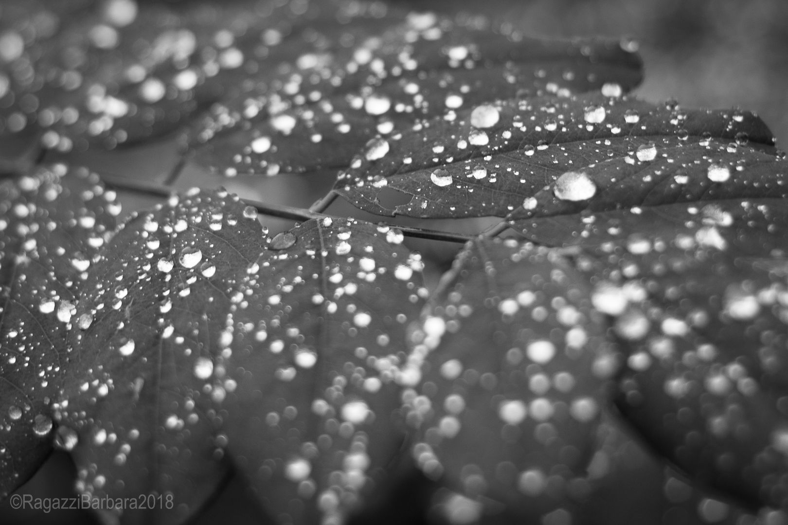 e' arrivata la pioggia