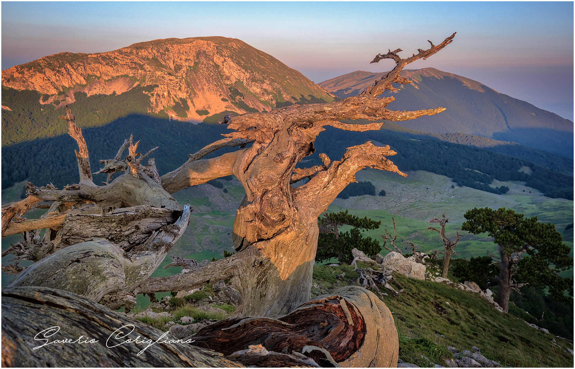 pollino parco nazionale