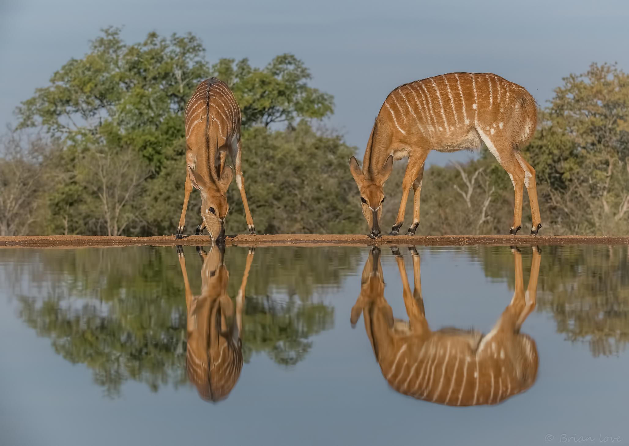 Madre (destra) e figlia