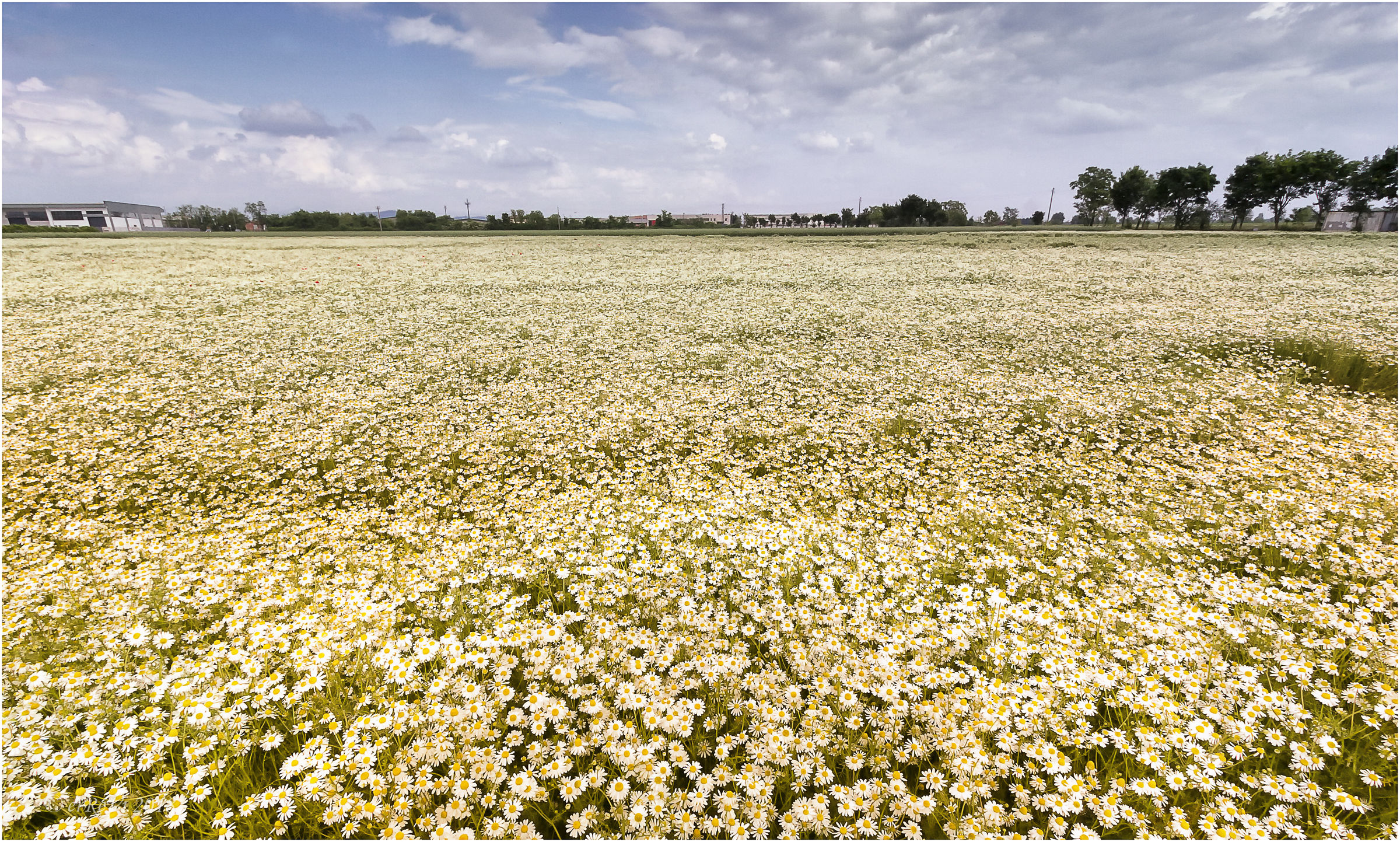 In un mare di calma...