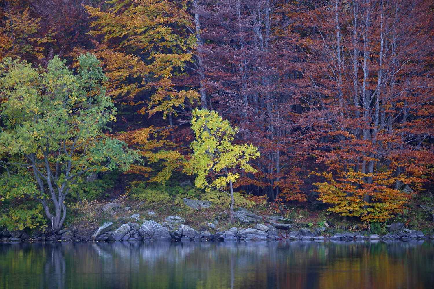 Holy Lake and its colors 3