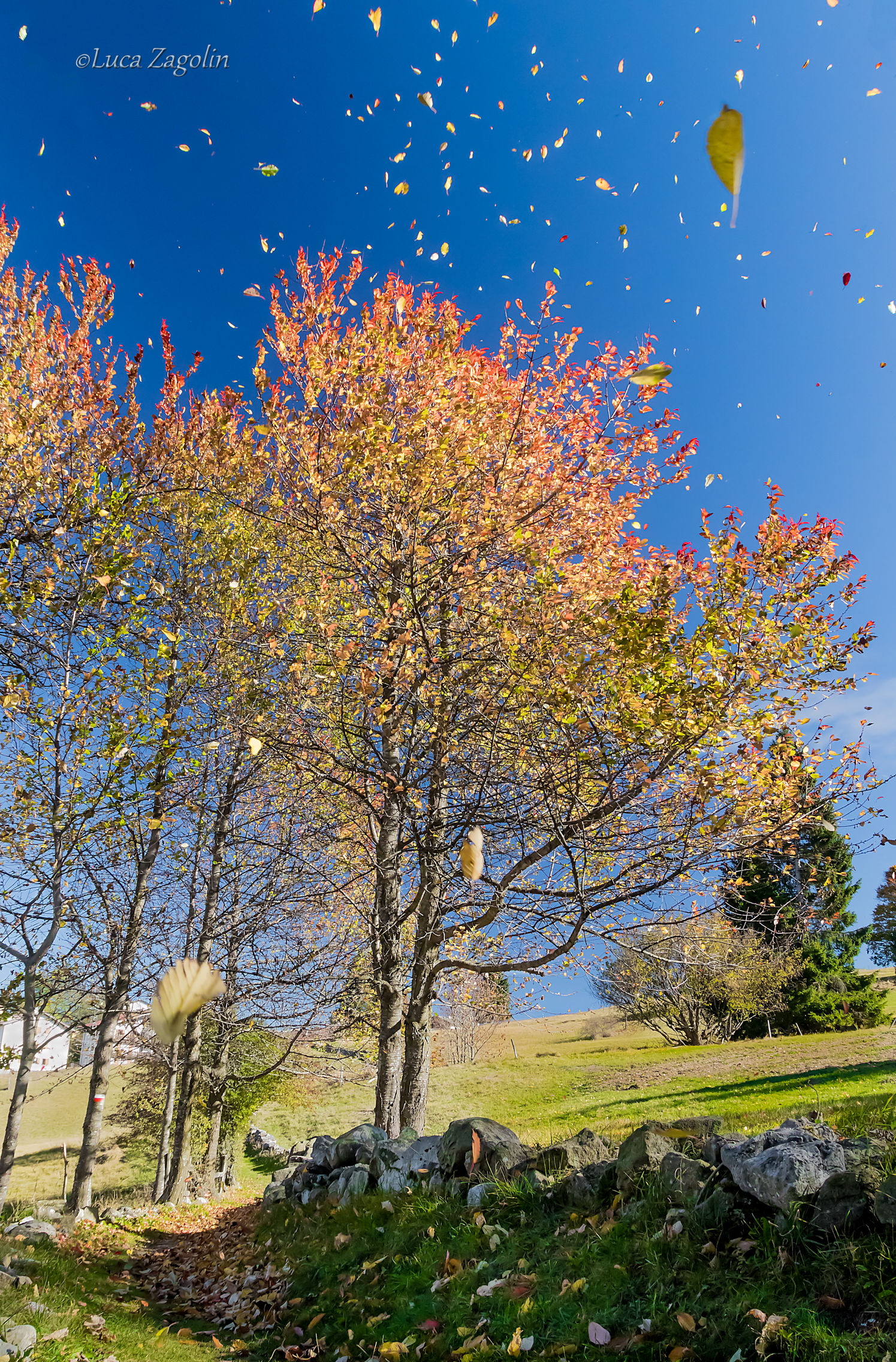 The wind... suddenly