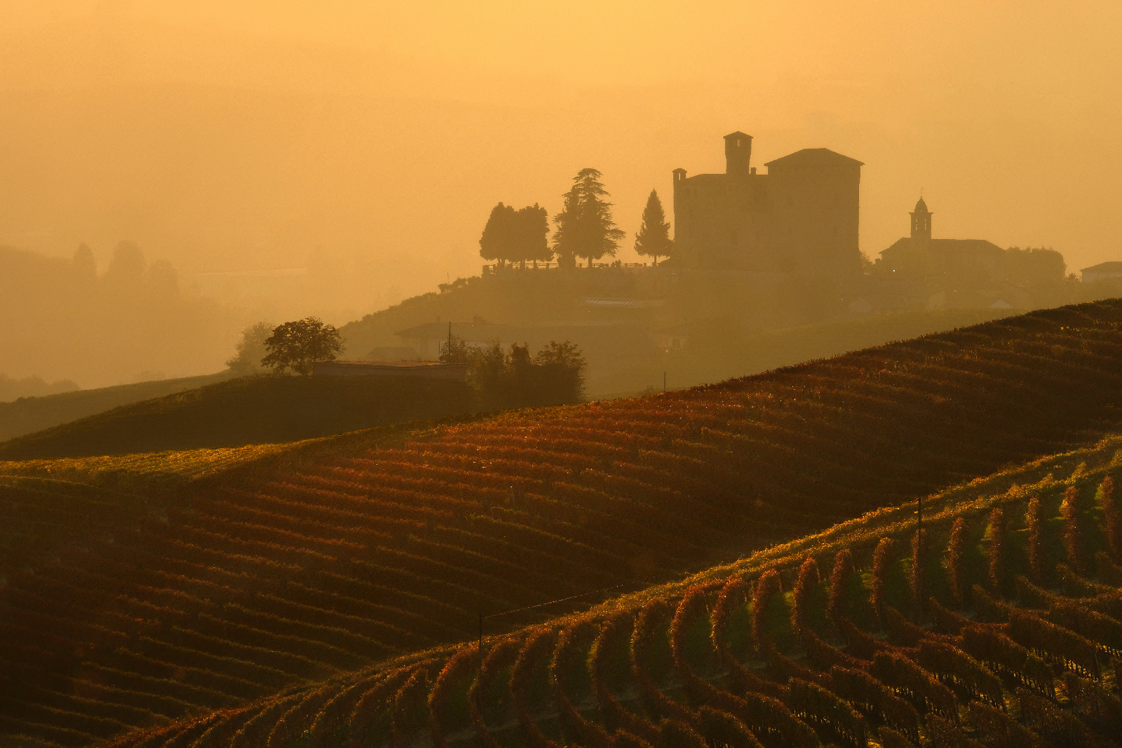 Last Light at Grinzane