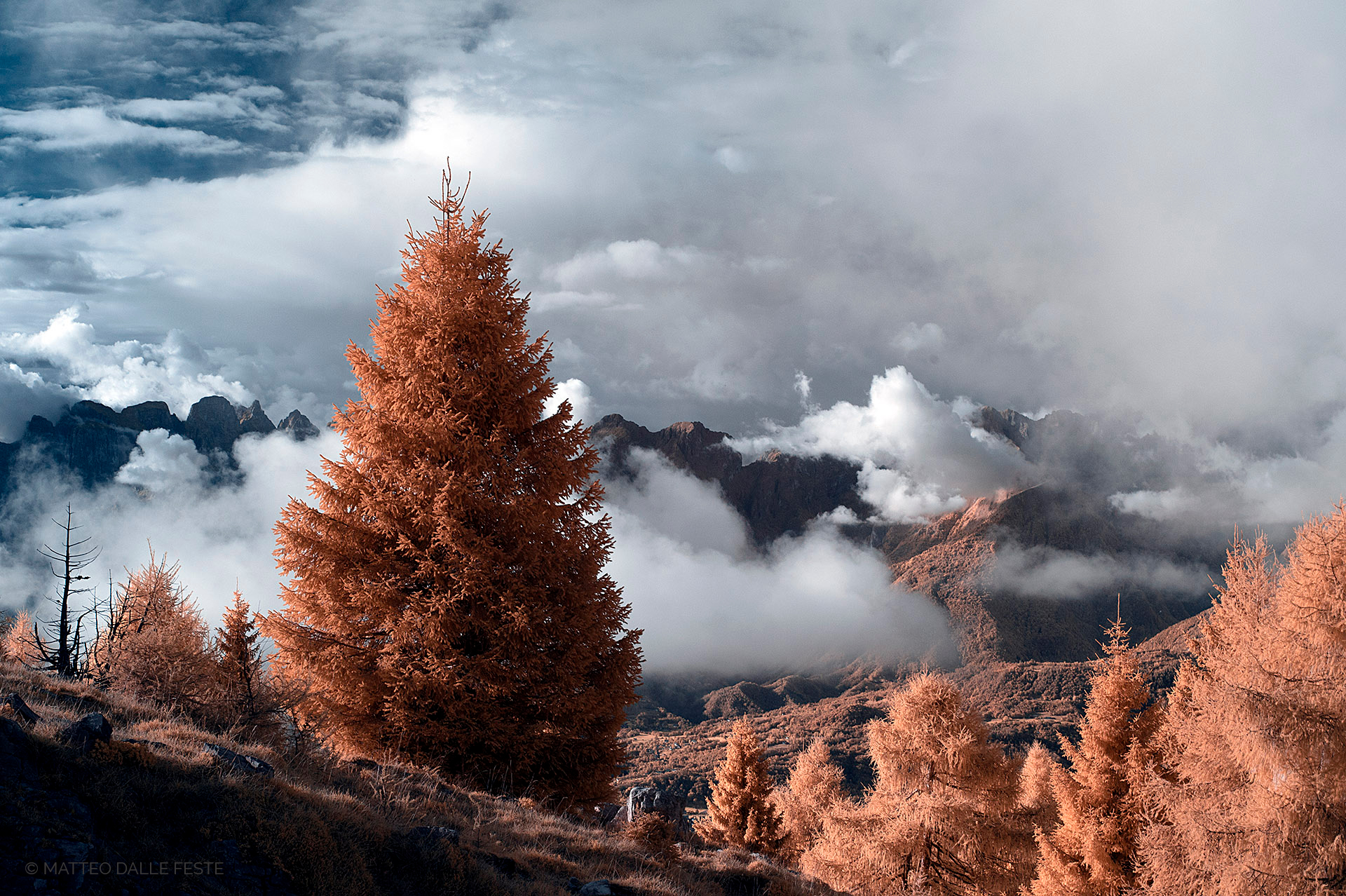 Alpe del Nevegal, con occhi diversi - Infrared