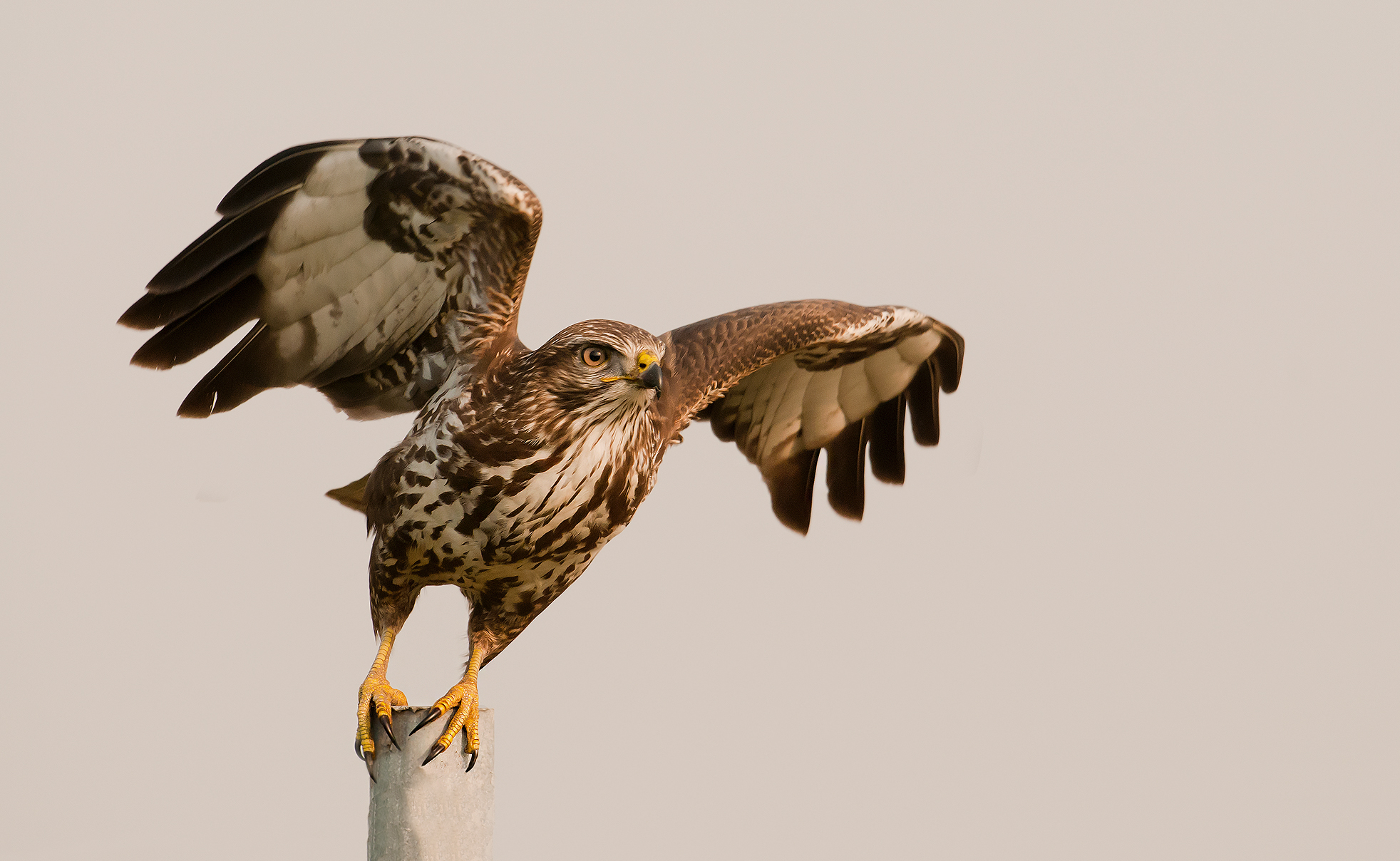 Leaving is to win a fight against the habit