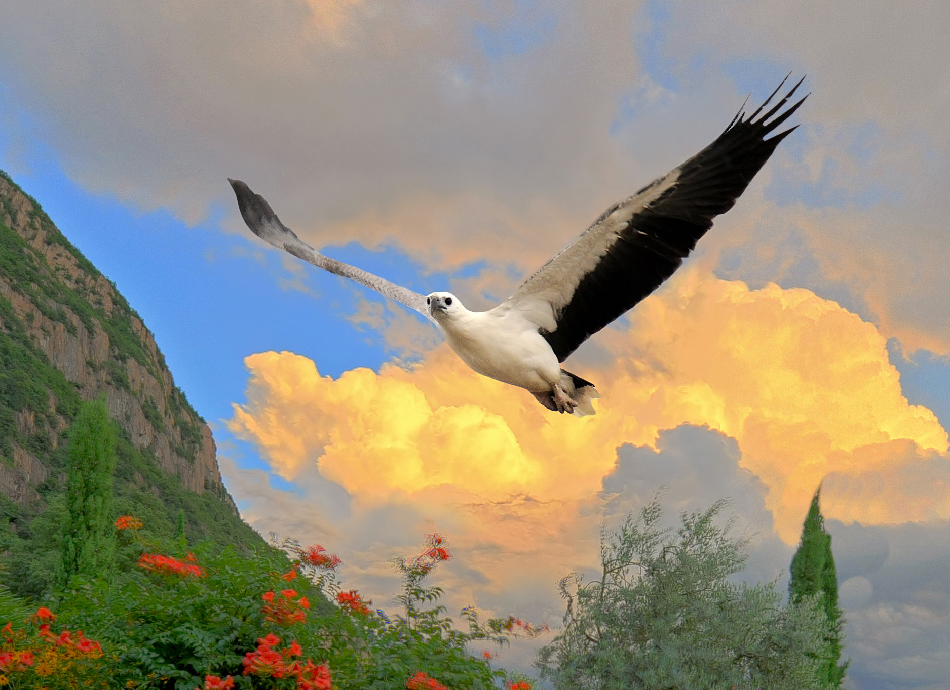 From the balcony of the house