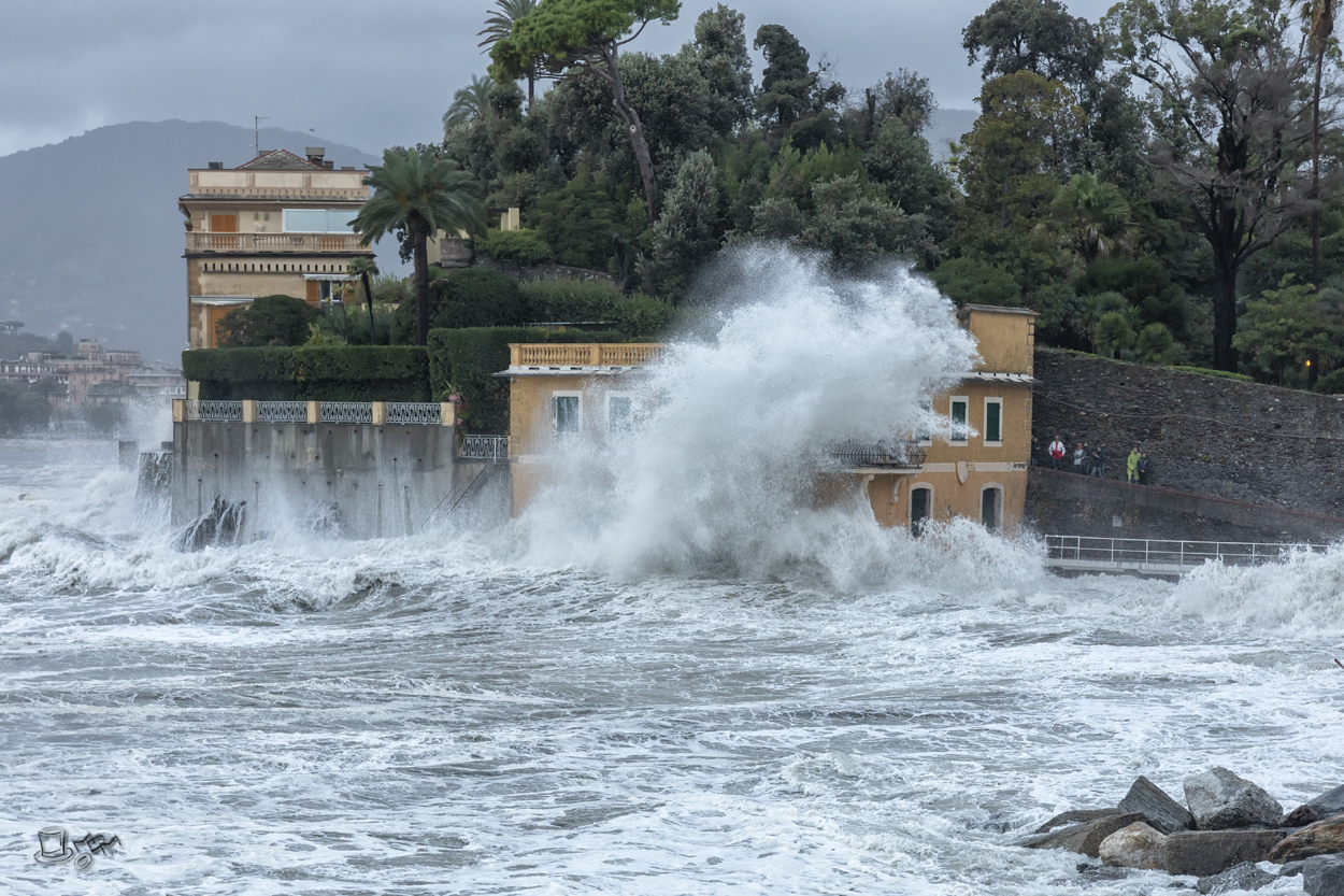The strength of the sea