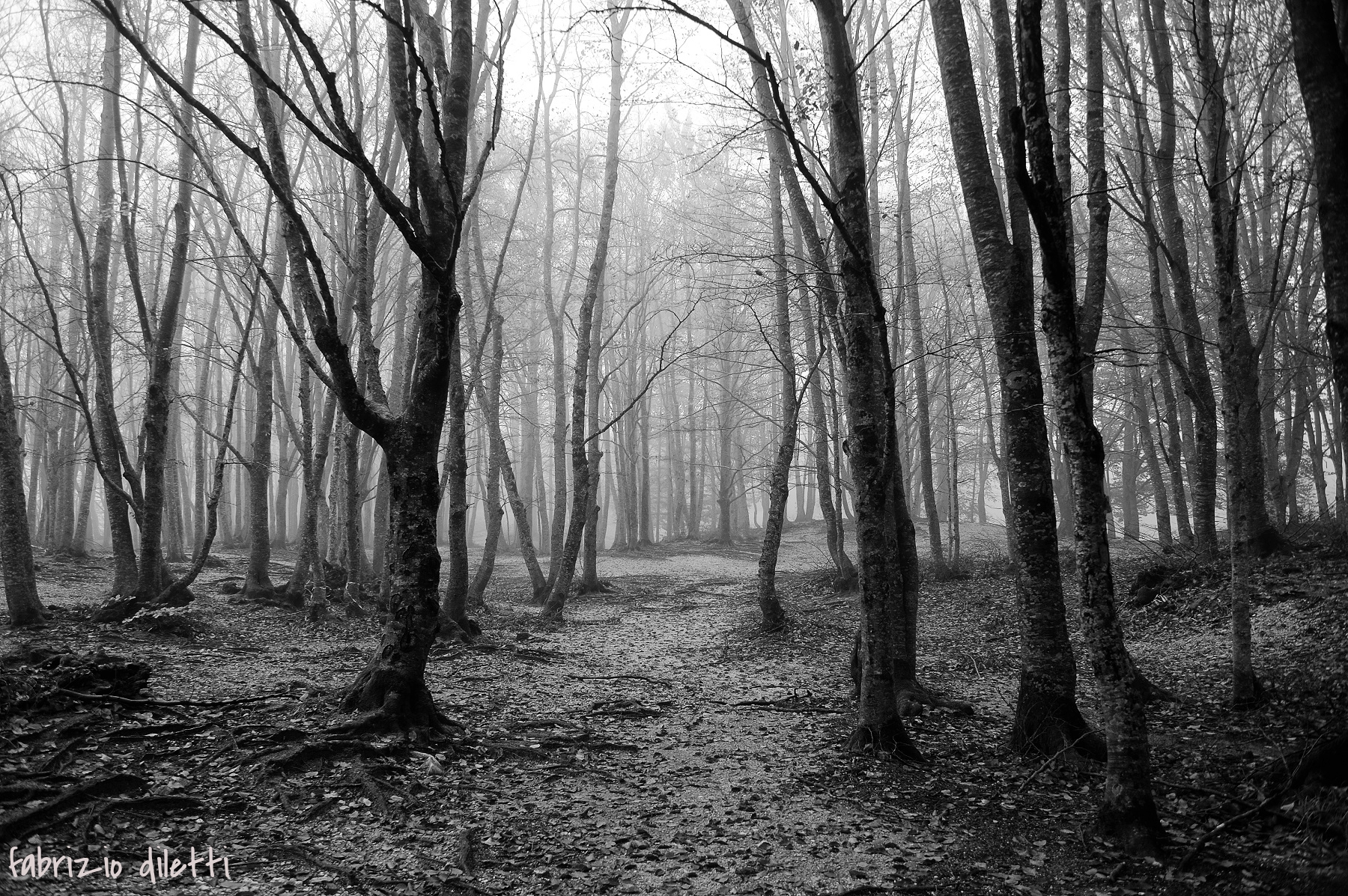 nebbia appenninica, garulla