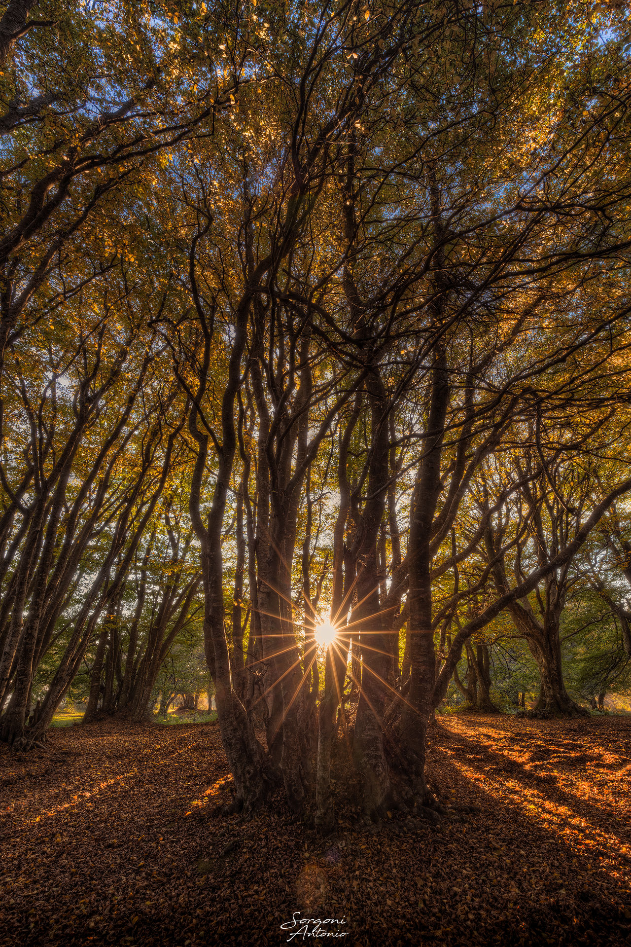 Un classicone delle mie zone. Canfaito all'alba.