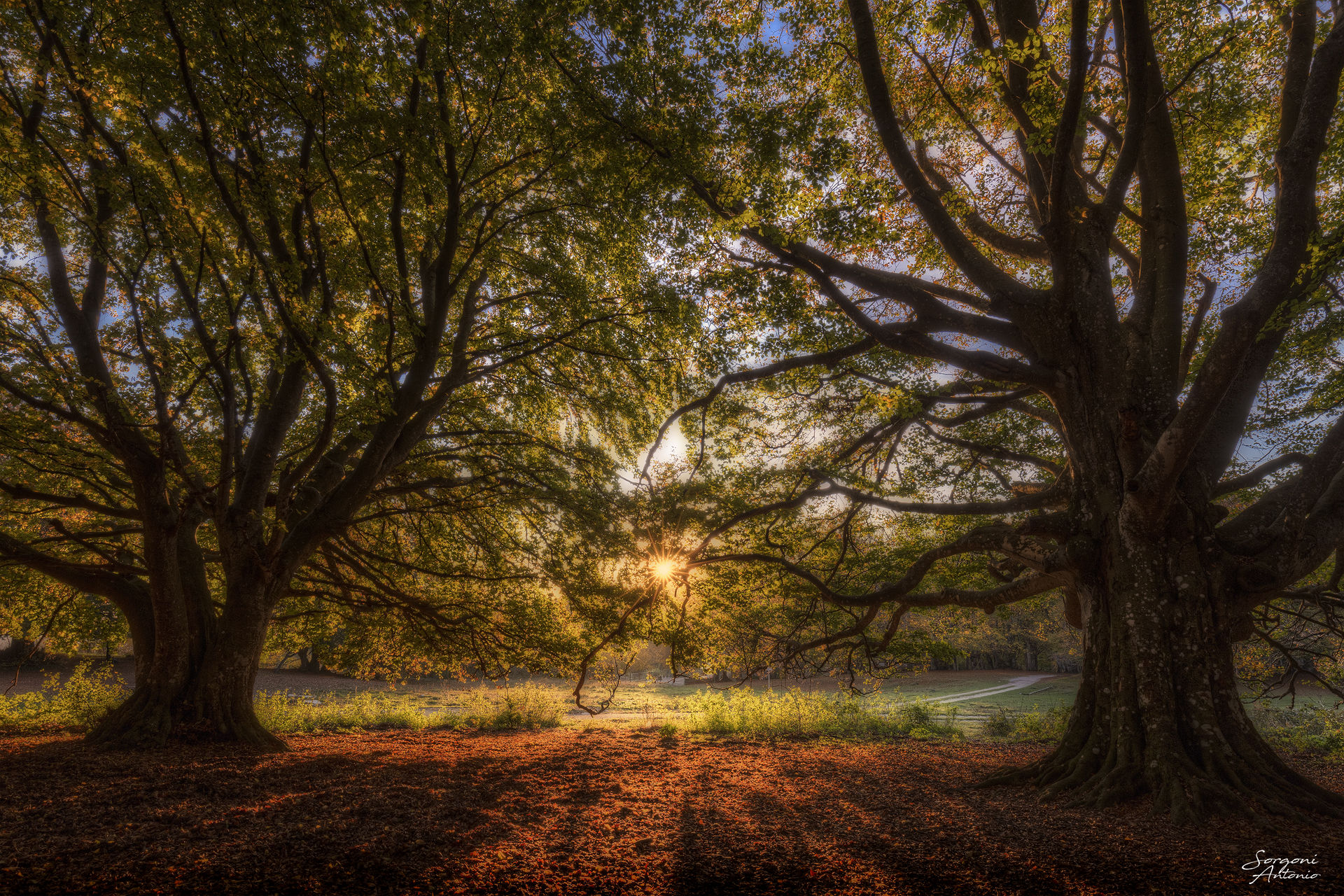 Un classicone delle mie zone. Canfaito all'alba.