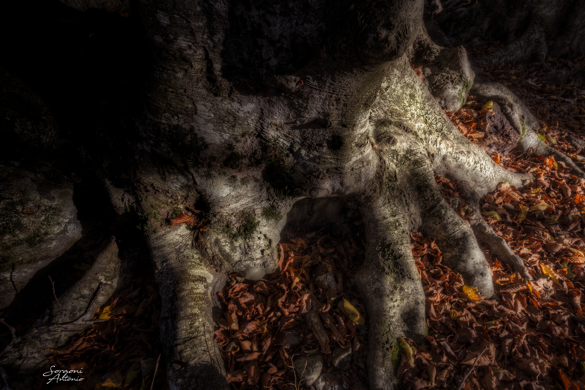 A classicon of my zones. Canfaito at dawn.