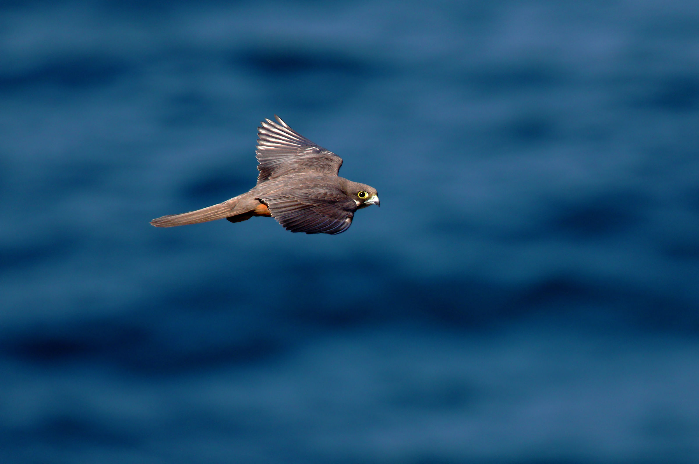 Where the sea is more blue...