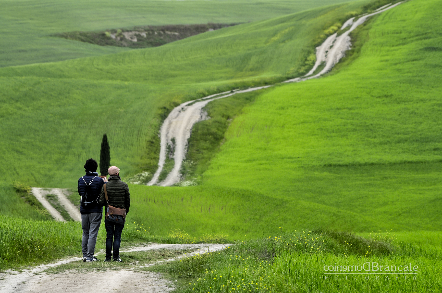 la strada della vita...lunga e tortuosa