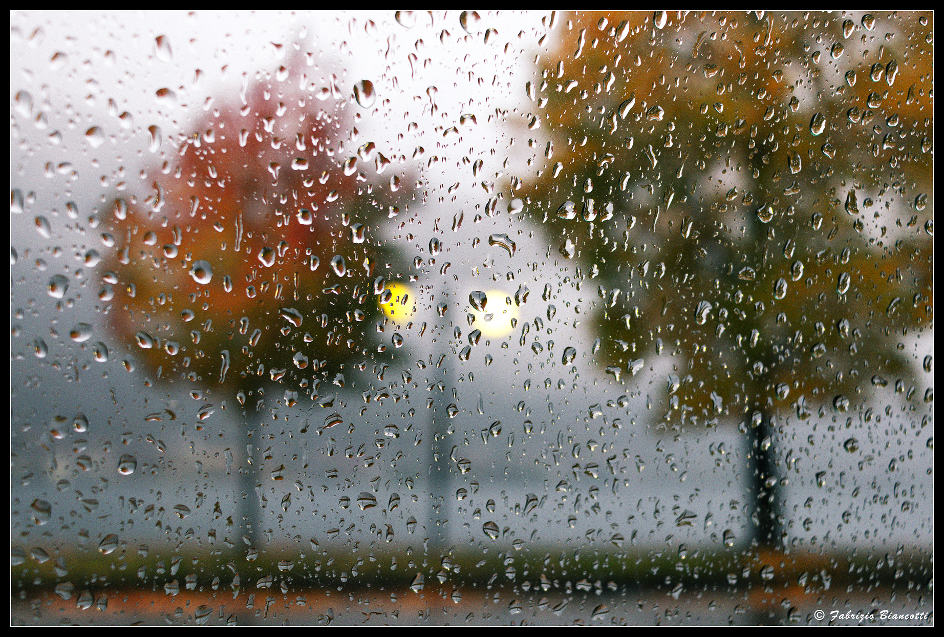 Now I recognize our autumns