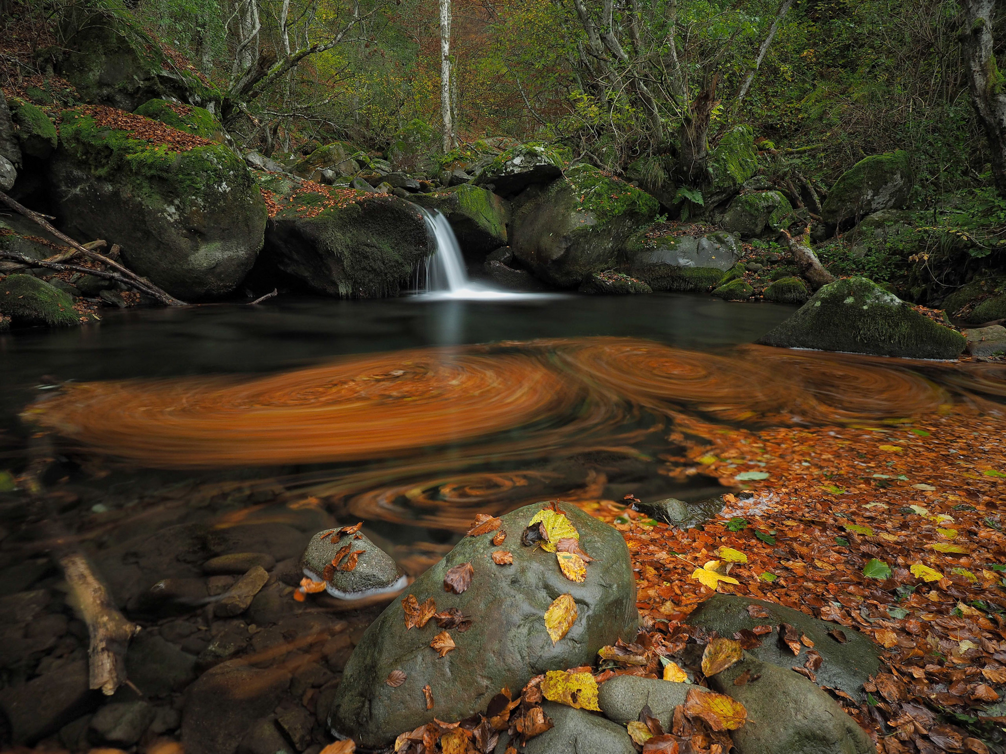 Un turbinio di colori