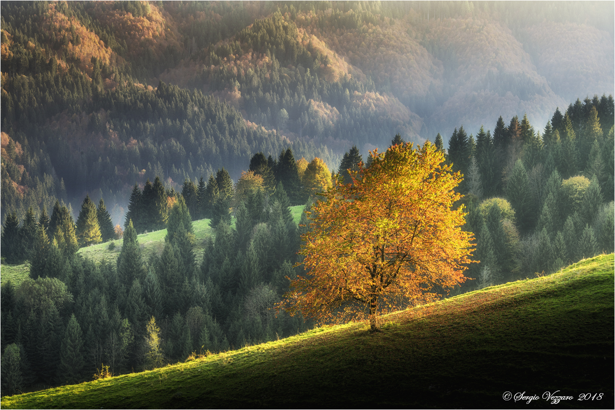 Autunno in Altopiano