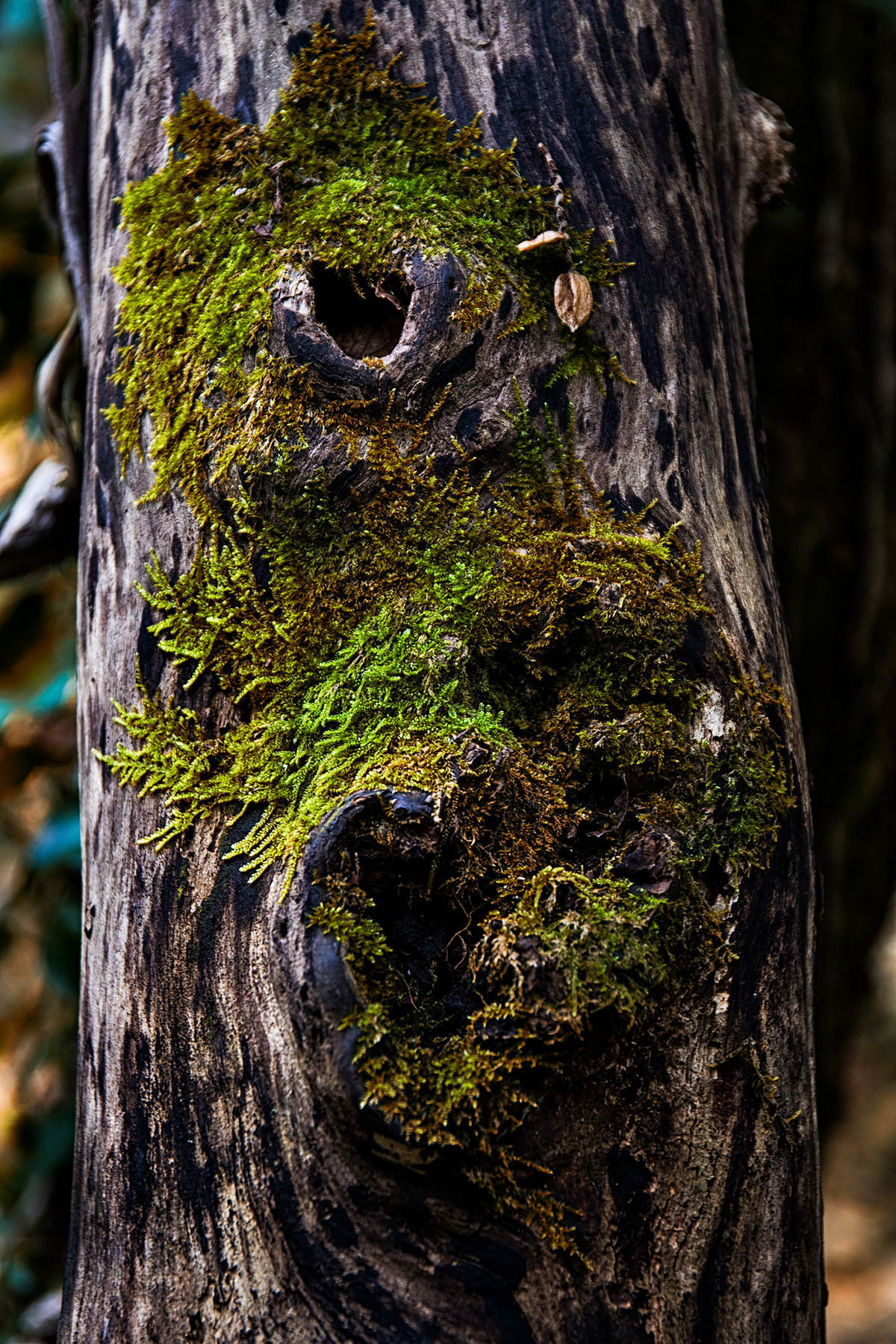 Majella National Park